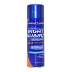 Right Guard Clean 24 Hrs 250 Ml